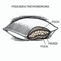 Konstrukcja poduszki 3 komorowej