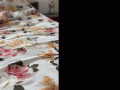 Pościel satynowa bawełna 160x200+2x70x80 Róże 59A Exclusive