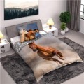 Pościel z bawełny 160x200 + 70x80 z koniem Gniady 006 dla Jeźdźca