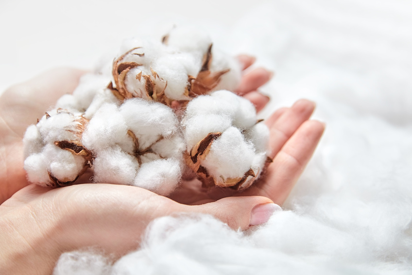 cotton 100% - bawełna