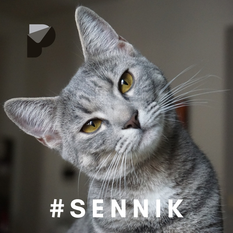 sennik kot